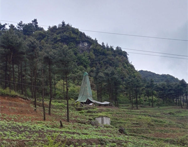 把脈“黔”鋅地，問診開良方