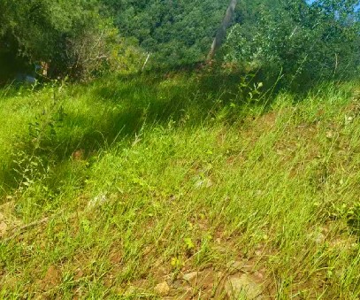 柳關(guān)欒盧鉛鋅礦|治理排土“瘡疤”，繪就綠色畫卷